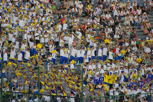 高校野球　横浜高校　応援　観客を巻き込む一体感